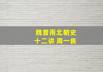 魏晋南北朝史十二讲 周一良